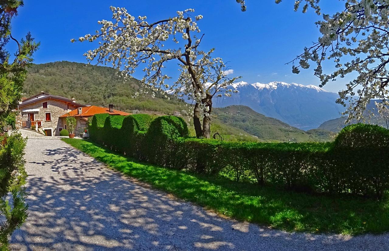 Casa Belvedere Garden By Gardadomusmea Tremosine Extérieur photo